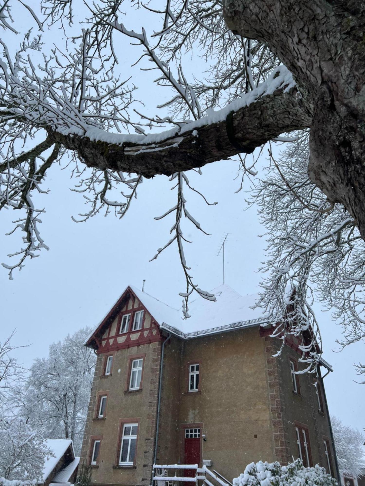 L' Extravagante Im Garten Von Schloss Schmidtheim Exterior photo
